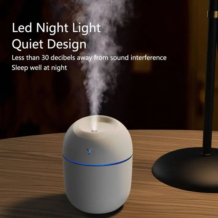 Compact USB Humidifier with LED Night Lamp